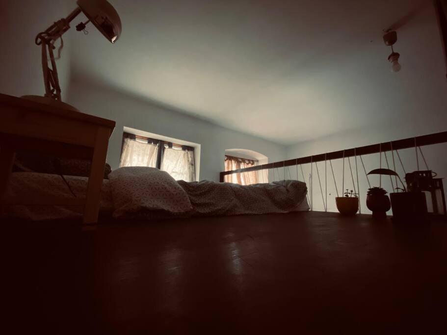Playground Appartement Cluj-Napoca Buitenkant foto